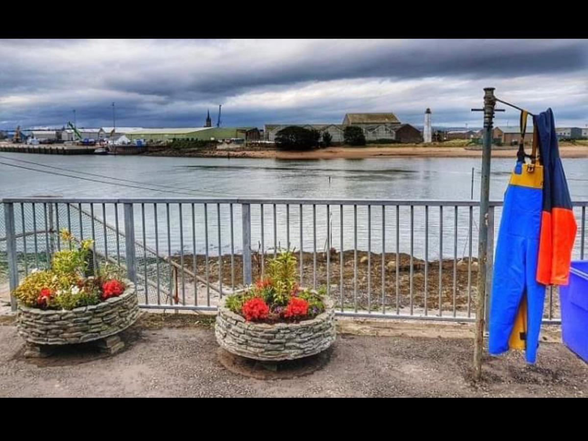 The Thin Seagull 4 Beacon Terrace Ferryden 빌라 외부 사진